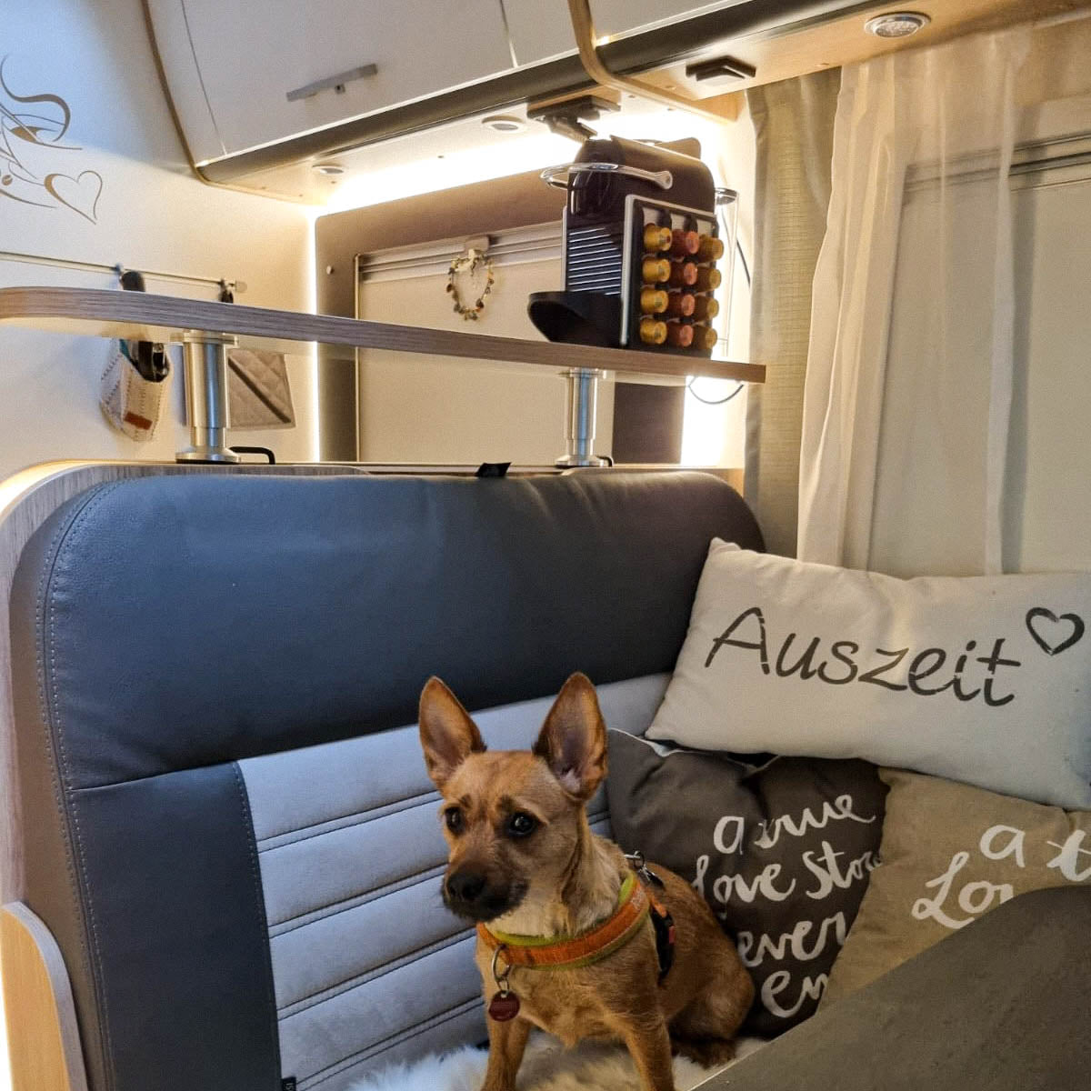 Storage board for Sunlight models from 2018-2022